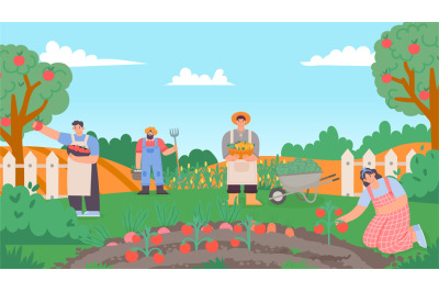 People working at garden or farm, collect harvest