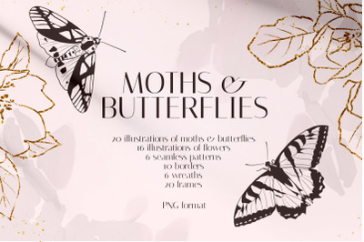 MOTHS &amp; BUTTERFLIES illustration set