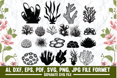 corals,seaweed,plants,under the sea plants,ocean life,aquarium plants,