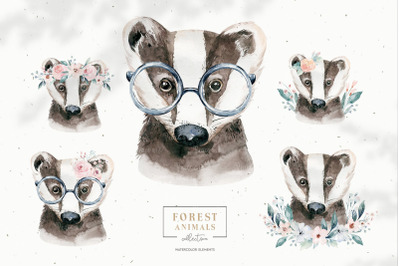 Watercolor woodland badger animals portrait clipart