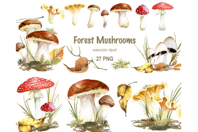 Watercolor forest mushrooms and leaves clipart, Autumn leaves,
