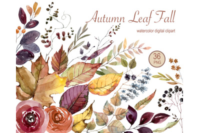 Watercolor Autumn Flower and Leaves clipart. Fall Rusty Clipart. Fall