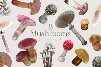 Watercolor Mushrooms clipart, Fall Clipart, Fall Forest fungus,