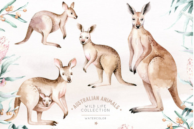 Watercolor australian kangaroo clipart. Digital kids illustration