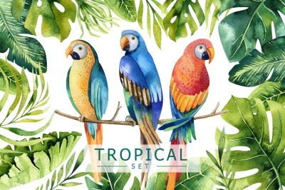 Watercolor hand painted Tropical clipart. Digital parrot illustration