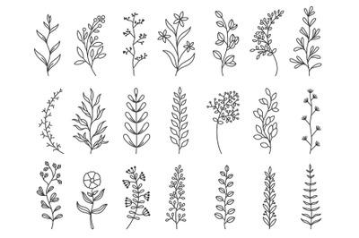 Herbal art. Doodle botanical decorative elements for tattoo, invitatio