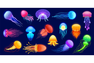 Glowing jellyfish. Cartoon underwater exotic sea animals of different