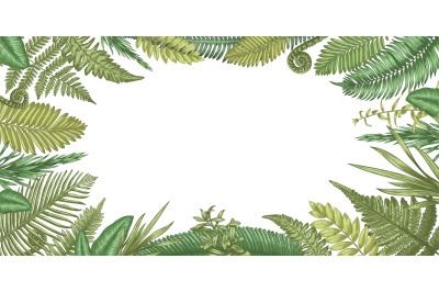 Fern background. Backdrop with hand drawn forest plants and rural herb