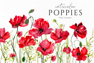 Watercolor Red Poppies Flowers Png