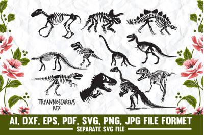 dinosaur skeleton, dinosaur, jurassic animal, dinosaur t-rex skeleton,
