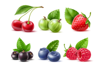 Realistic berries. Different seasonal berries and fruits with leaves,