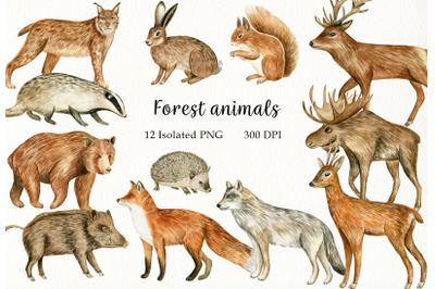Watercolor Forest Animals Clipart. Hand Painted Woodland Set
