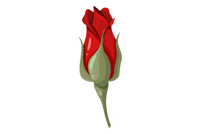 Rose bud. Garden red flower. Retro romantic symbol