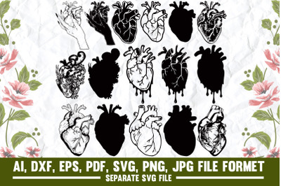 human heart, human, heart, human birthday, heart birthday, medical sch