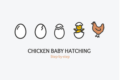 Chicken Baby Hatching Concept with Thin Line Icons. Vector