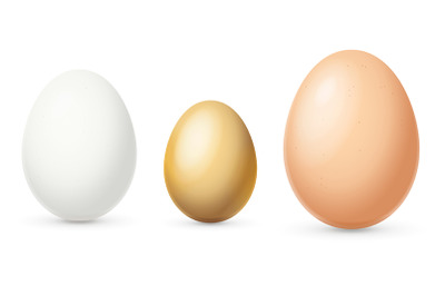 Realistic 3d Different Color and Sizes Eggs Set. Vector