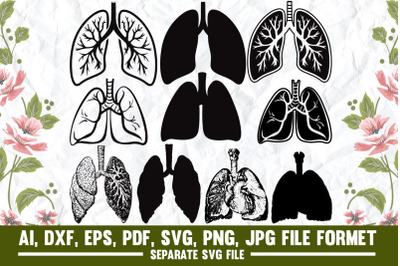 lungs, human, medical image, nurse life, anatomical heart, medical doc