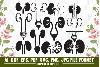 kidney&2C; urinary bladder&2C; bladder&2C; urinary&2C; disease&2C; medical image&2C; kid