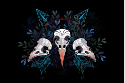 Forest Bird Skulls