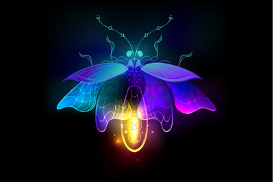 Neon Firefly