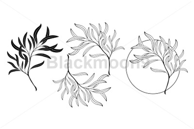 Willow Branch Monogram