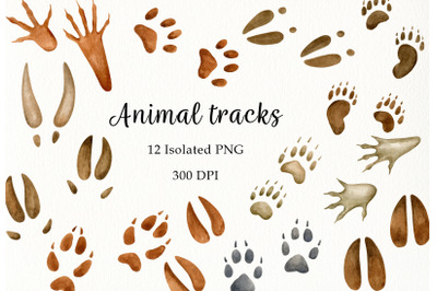 Watercolor animal tracks Clipart. Wild animals footsteps PNG