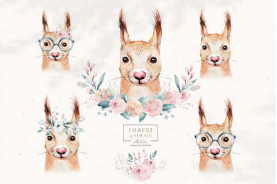 Watercolor woodland squirrel animals portrait clipart forest character