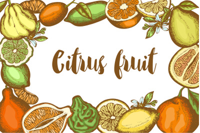 Citrus Fruits Design Kit