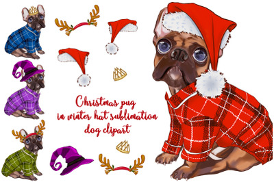 Christmas pug in winter hat sublimation - dog clipart
