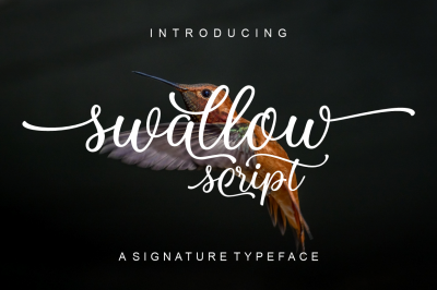 Swallow Script