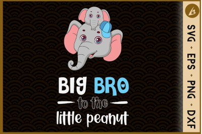 Big Bro to the little peanut Elephant