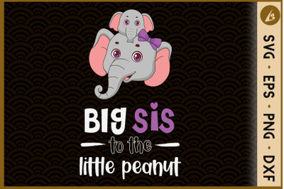 Big Sis to the little peanut Elephant