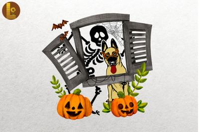 Belgian Malinois Halloween &amp; Skeleton