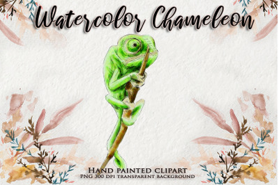 Chameleon Watercolor Animal Clipart