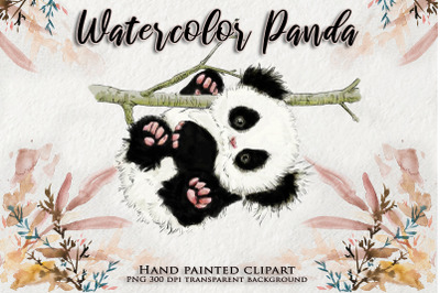 Panda Watercolor Animal Clipart