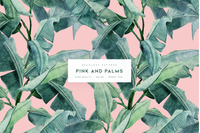 Pink and Palms