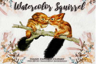 Squirrel kiss Watercolor Animal Clipart