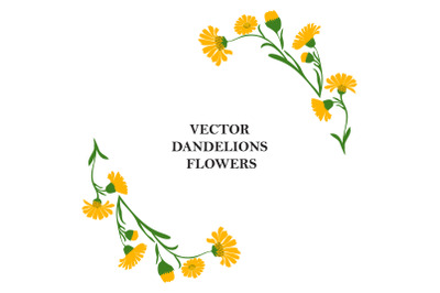 Floral border of plant dandelions isolated on white background. Botani