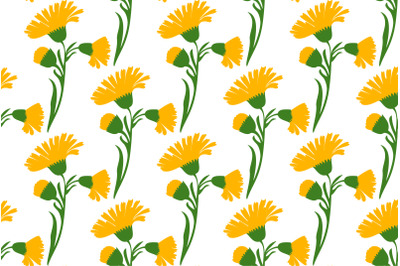 Botanical plant flowers dandelions seamless pattern vector illustratio