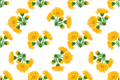 Botanical plant flowers dandelions seamless pattern vector illustratio