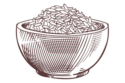 Rice bowl engraving. Grain full dish sketch