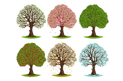 Tree in different seasons. Spring blooming, summer green, autumn falli