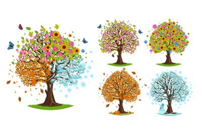 Season trees. Spring, summer, autumn and winter tree. Blooming, fallen