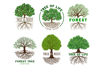 Life tree emblem template. Wisdom and harmony trees with roots, vibran