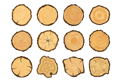 Tree trunk cross section. Round pine logs, forest wood circle and tree