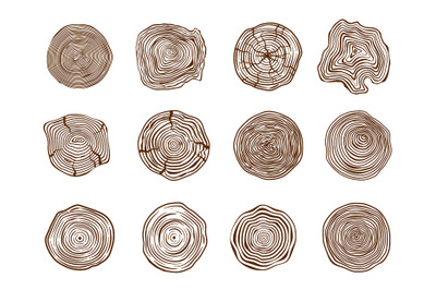 Pine log cut. Forest tree rings&2C; natural sawn and trunk cross section.