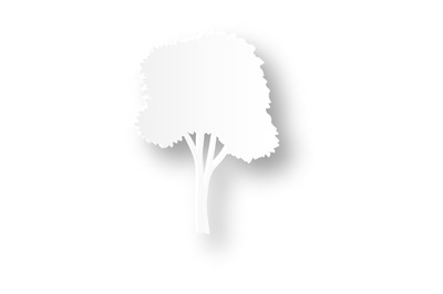 Paper tree silhouette. White plant with realistic shadow