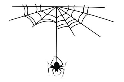 Cobweb. Halloween monochrome spiderweb and dangerous spider, black sil