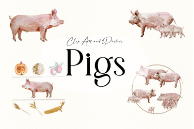 Watercolor Pigs Life Cycle and Clip Arts