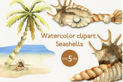Seashells Graphic. Watercolor cliparts